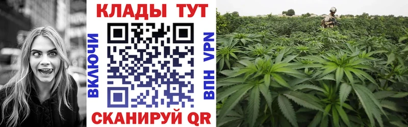 Купить закладку МАРИХУАНА  Мефедрон  Альфа ПВП  АМФЕТАМИН  Галлюциногенные грибы  Гашиш  COCAIN  Курчалой