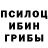 Псилоцибиновые грибы прущие грибы Narym Rushanov