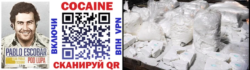 COCAIN FishScale  Купить закладки  Курчалой 