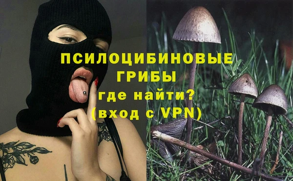 соль курить ск Богданович