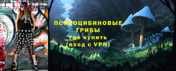 прущий лед Богородицк