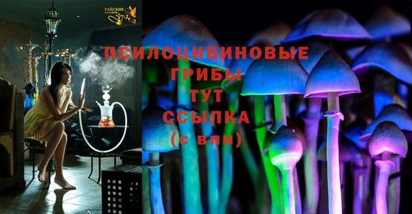 таблы Белокуриха