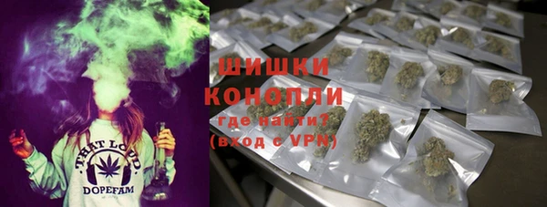 прущий лед Богородицк