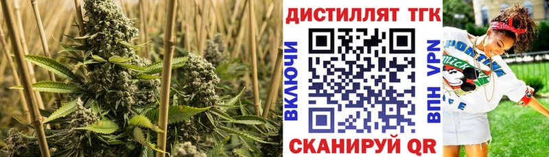 ТГК гашишное масло Курчалой